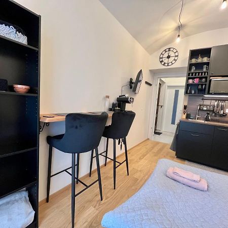 Studio V Prizemi S Kuchyni A Koupelnou Prague Luaran gambar