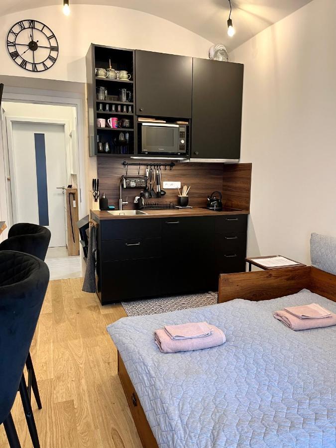 Studio V Prizemi S Kuchyni A Koupelnou Prague Luaran gambar